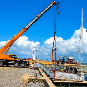 Siyetra Cranes