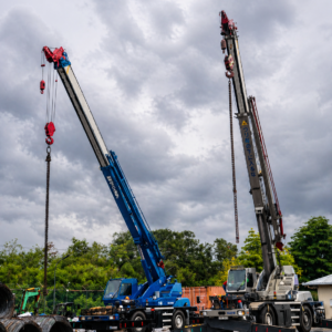 Siyetra Cranes